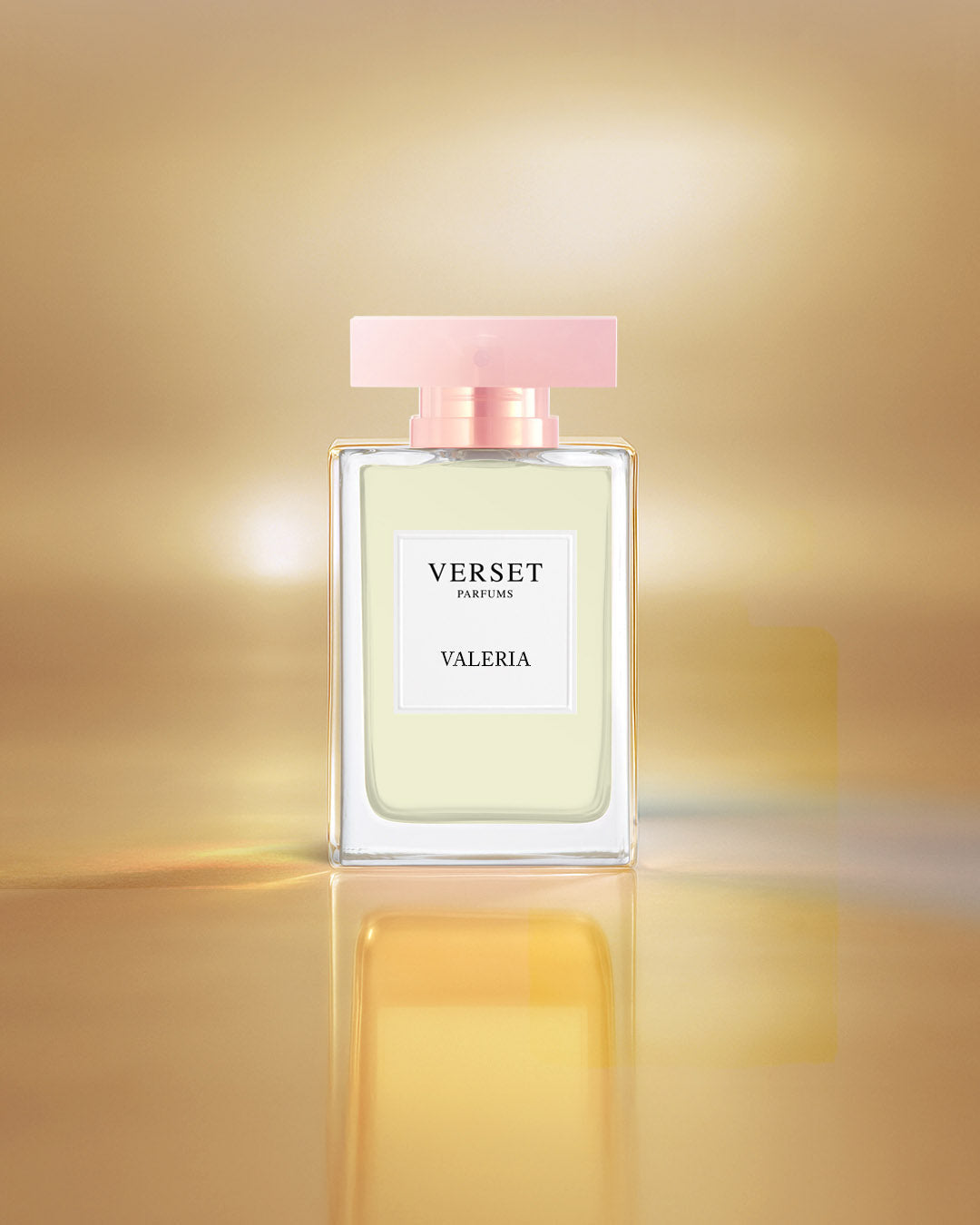 Copy of D_VVF16-VAL100.jpg